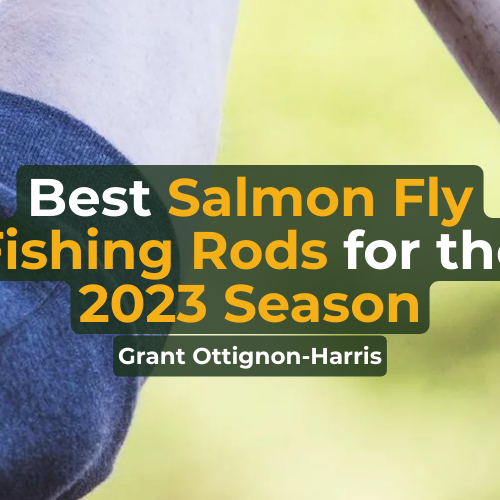 Best Salmon Fishing Rods for the 2023 Season