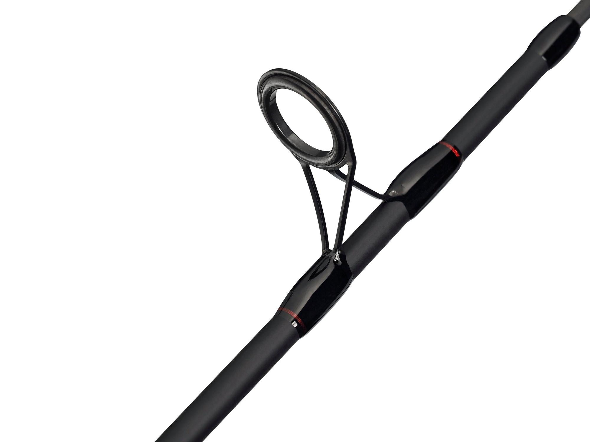 BERKLEY CATCH MORE FISH SPIN COMBO