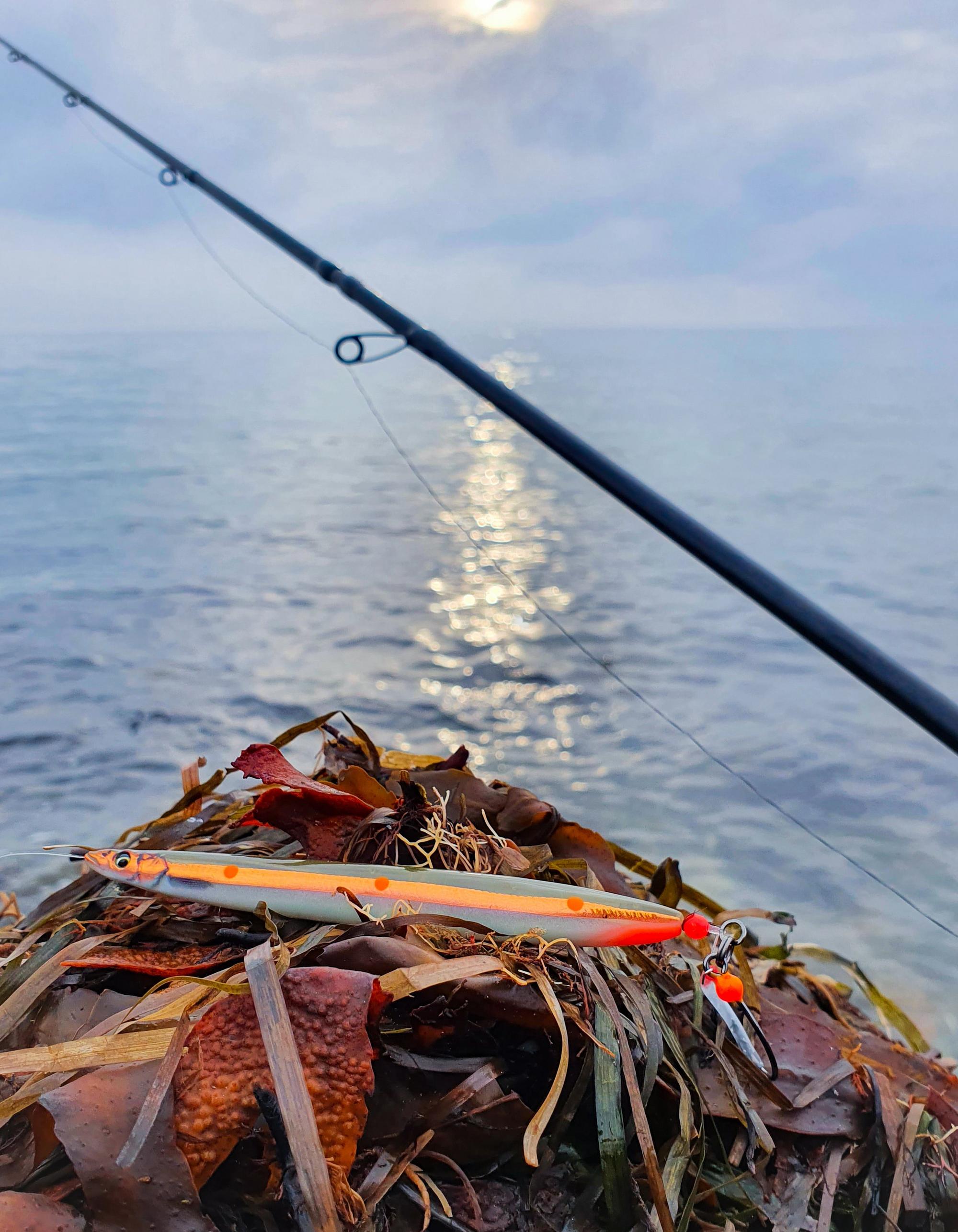 SAVAGE GEAR 3D LINE THRU SANDEEL