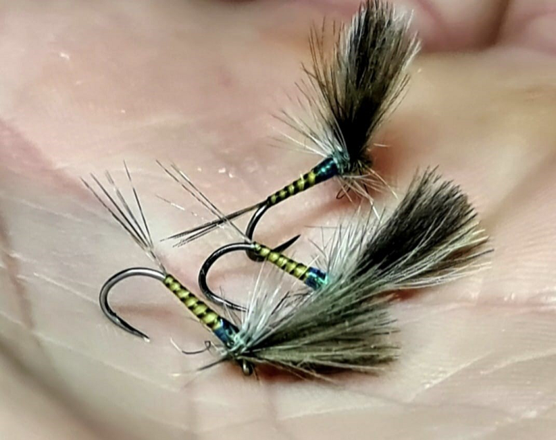 VENIARD HAND STRIPPED PEACOCK QUILL