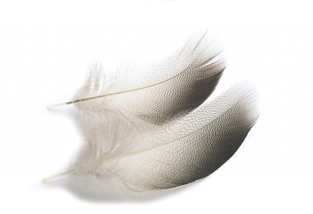 VENIARD MALLARD DUCK BRONZE SHOULDER