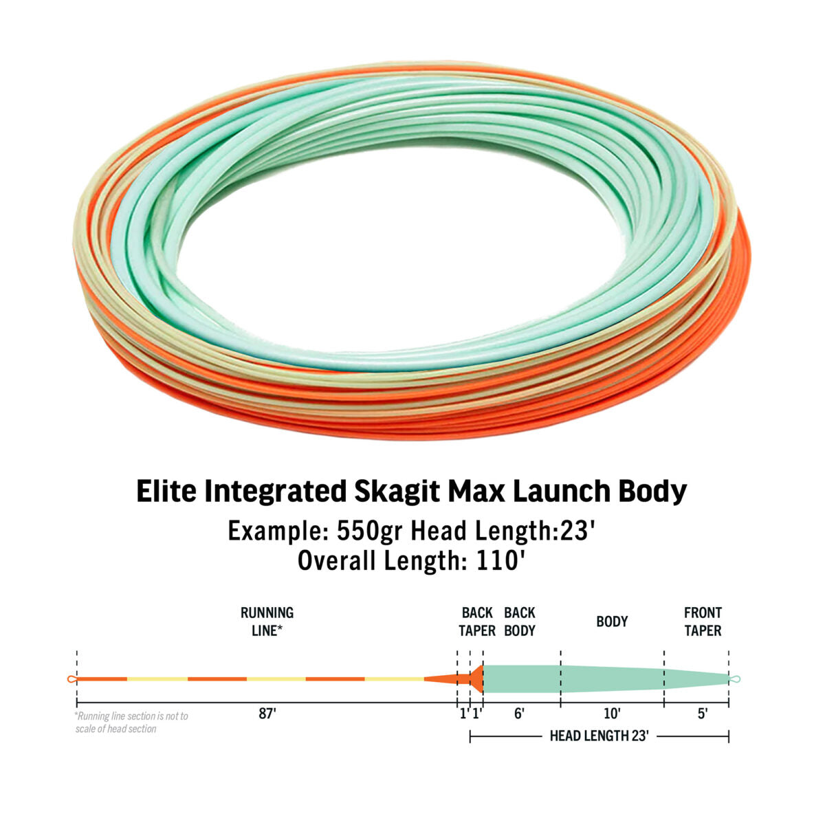 RIO ELITE INTERGRATED SKAGIT MAX LAUNCH