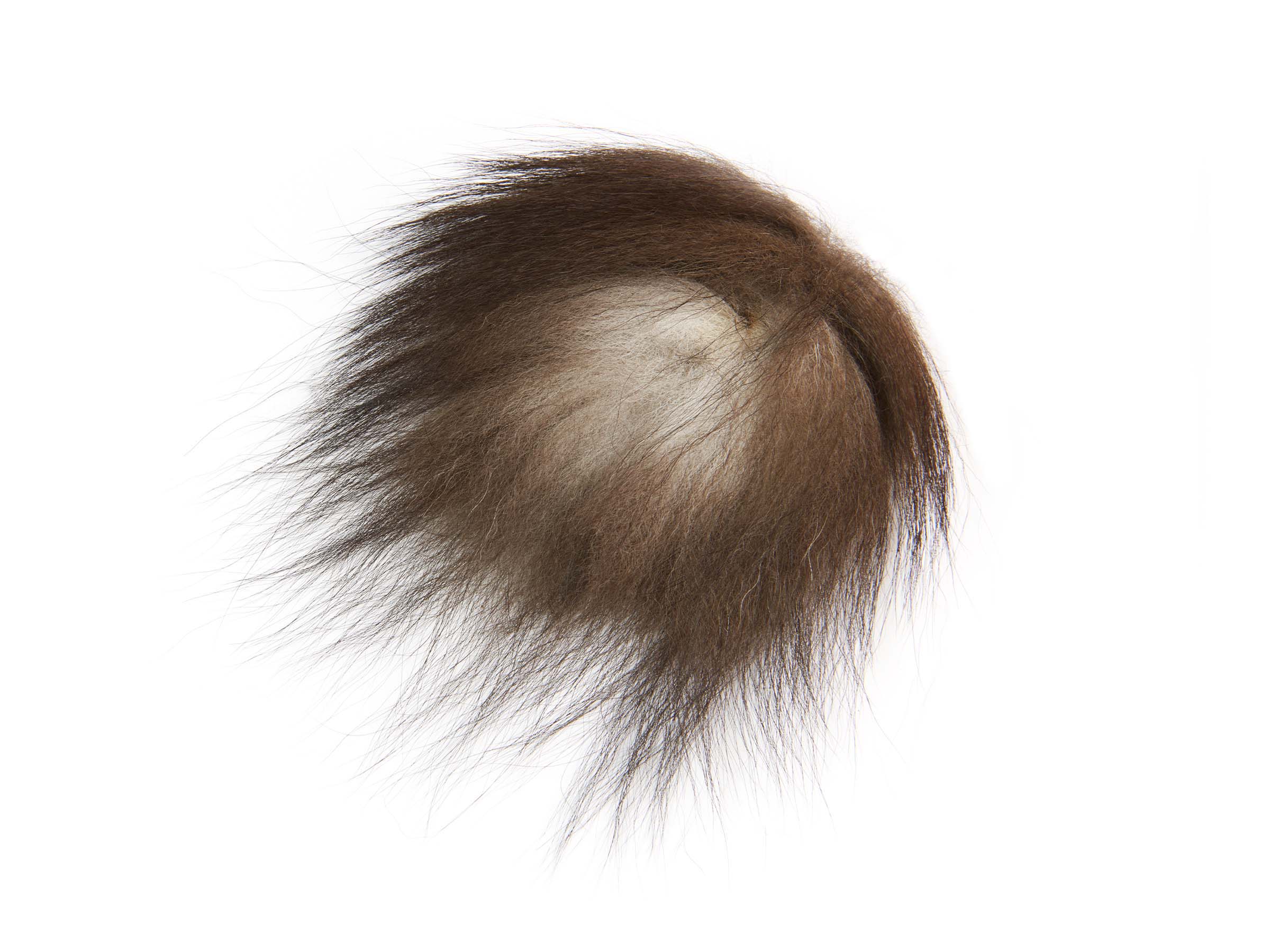 Frodin Flies SNS Fox Tail Supreme/Long