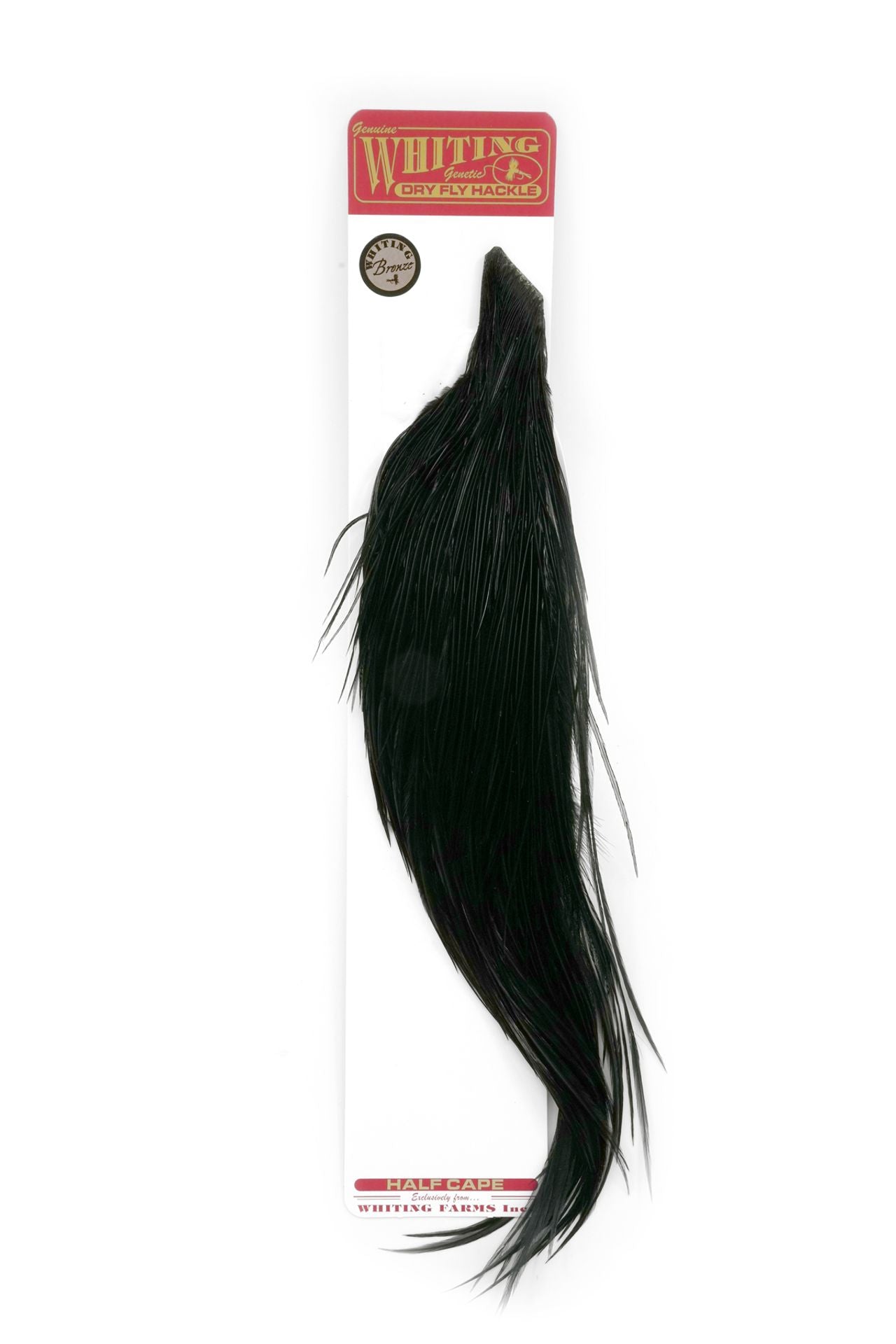 WHITING BRONZE 1/2 CAPE