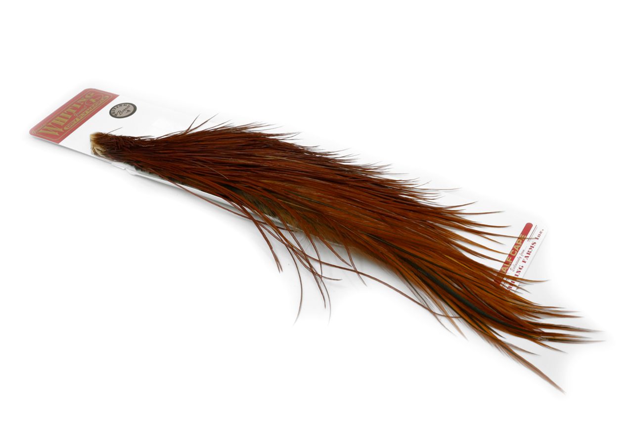 WHITING BRONZE 1/2 CAPE