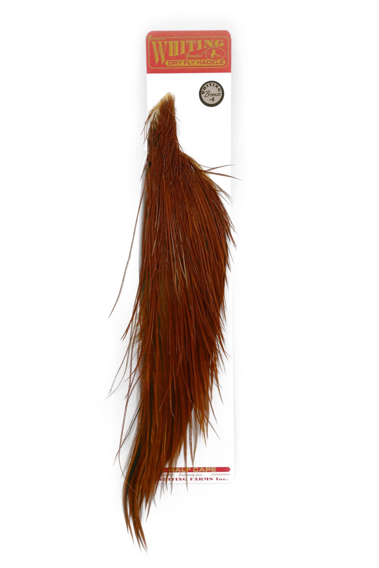 WHITING BRONZE 1/2 CAPE