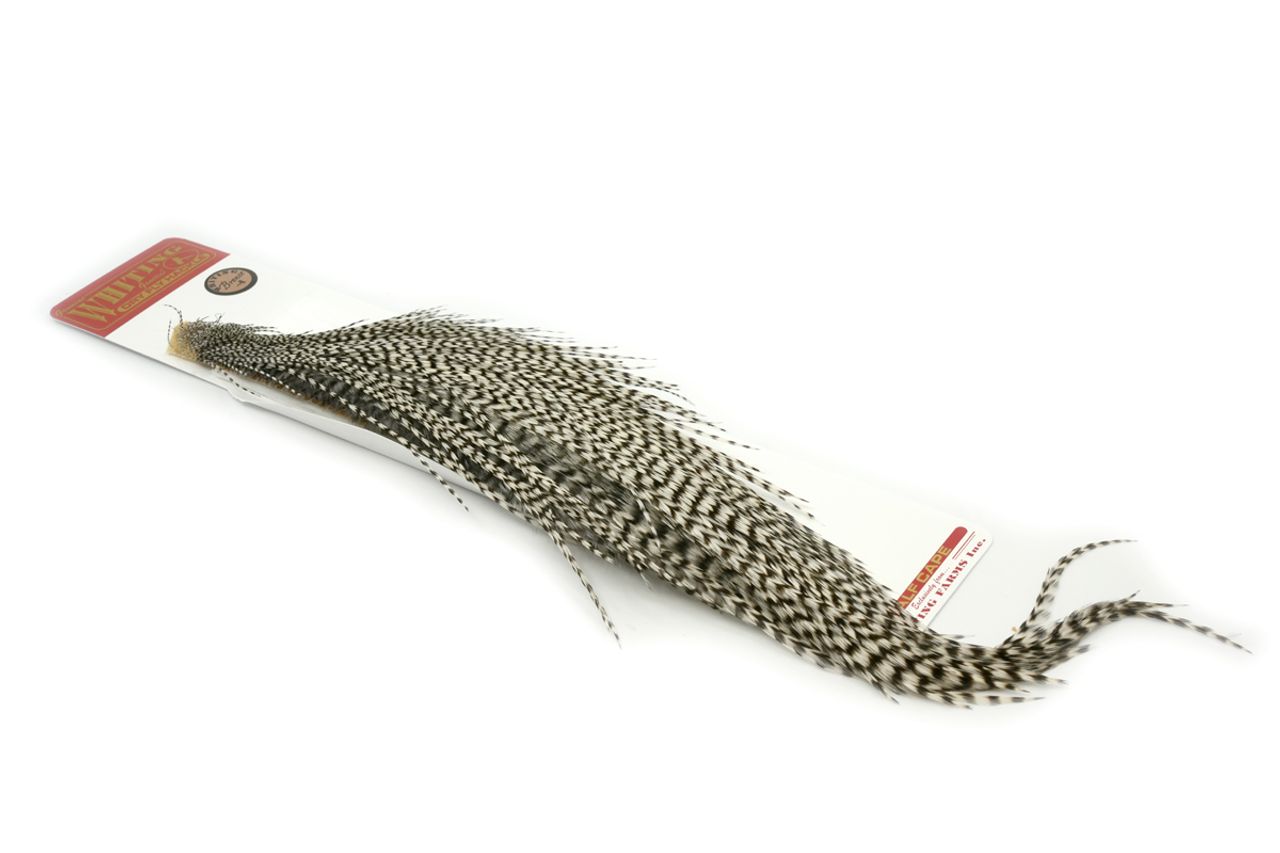 WHITING BRONZE 1/2 CAPE