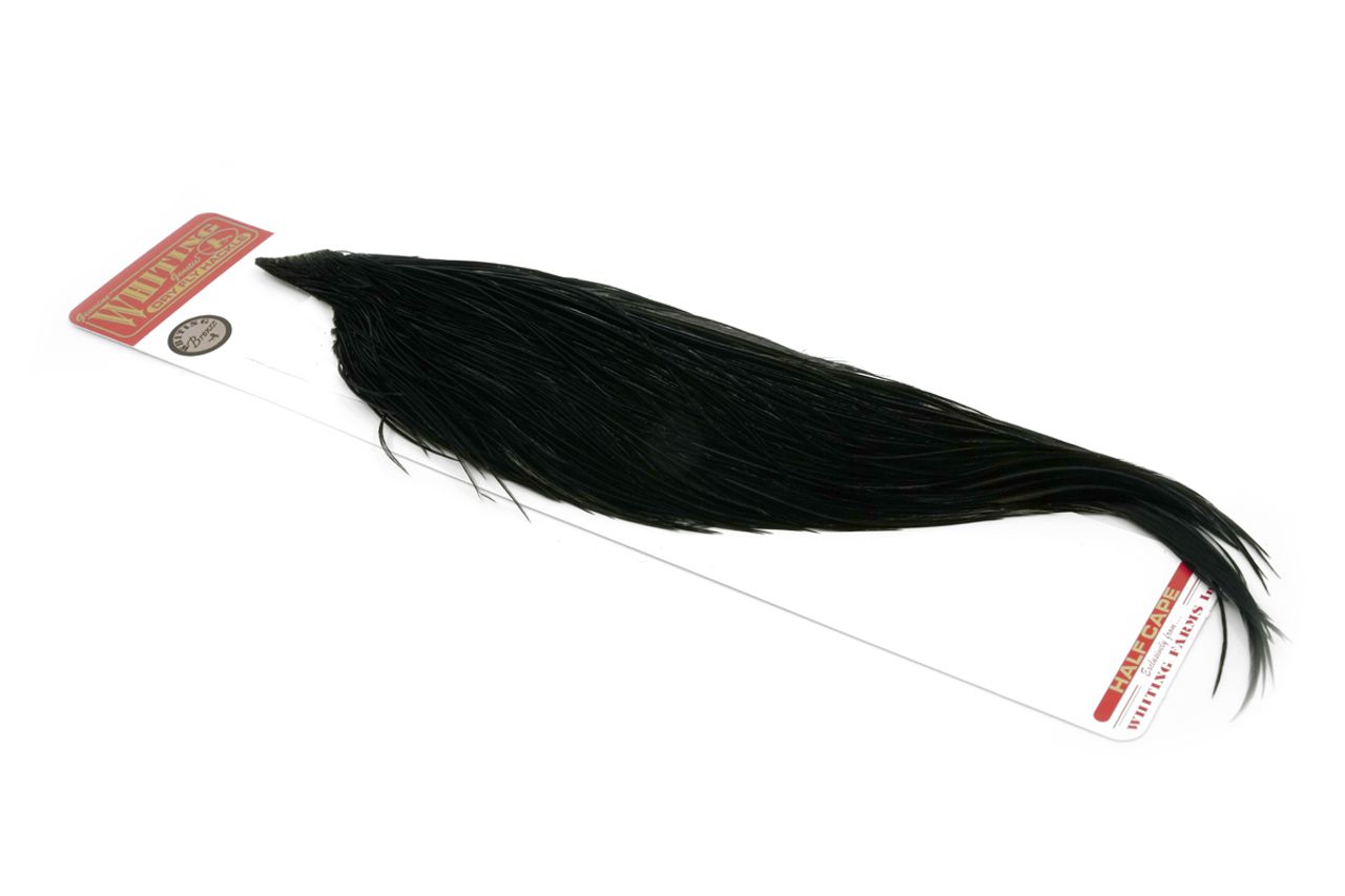 WHITING BRONZE 1/2 CAPE