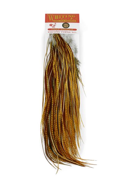 WHITING BRONZE 1/2 CAPE