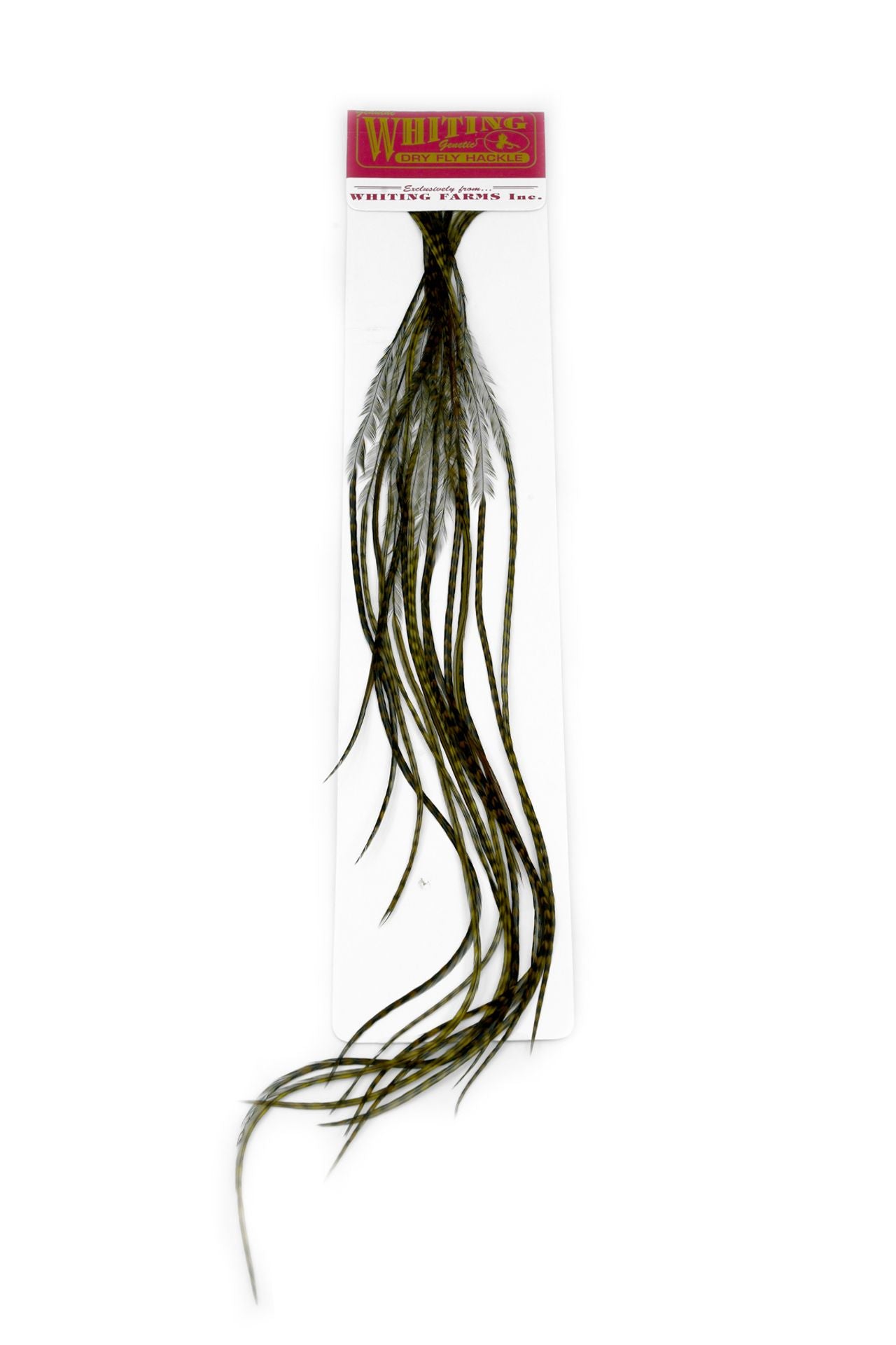 WHITING 100 FLY PACK