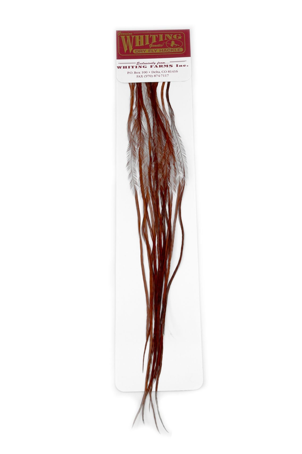 WHITING 100 FLY PACK