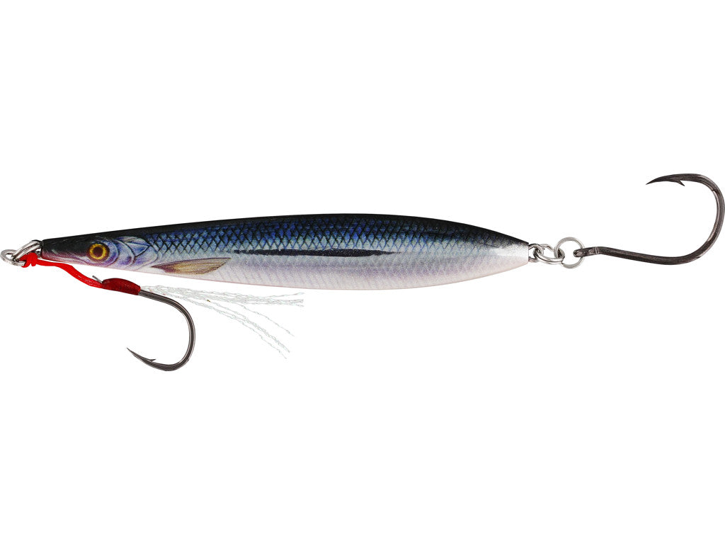 WESTIN F360 SBASS