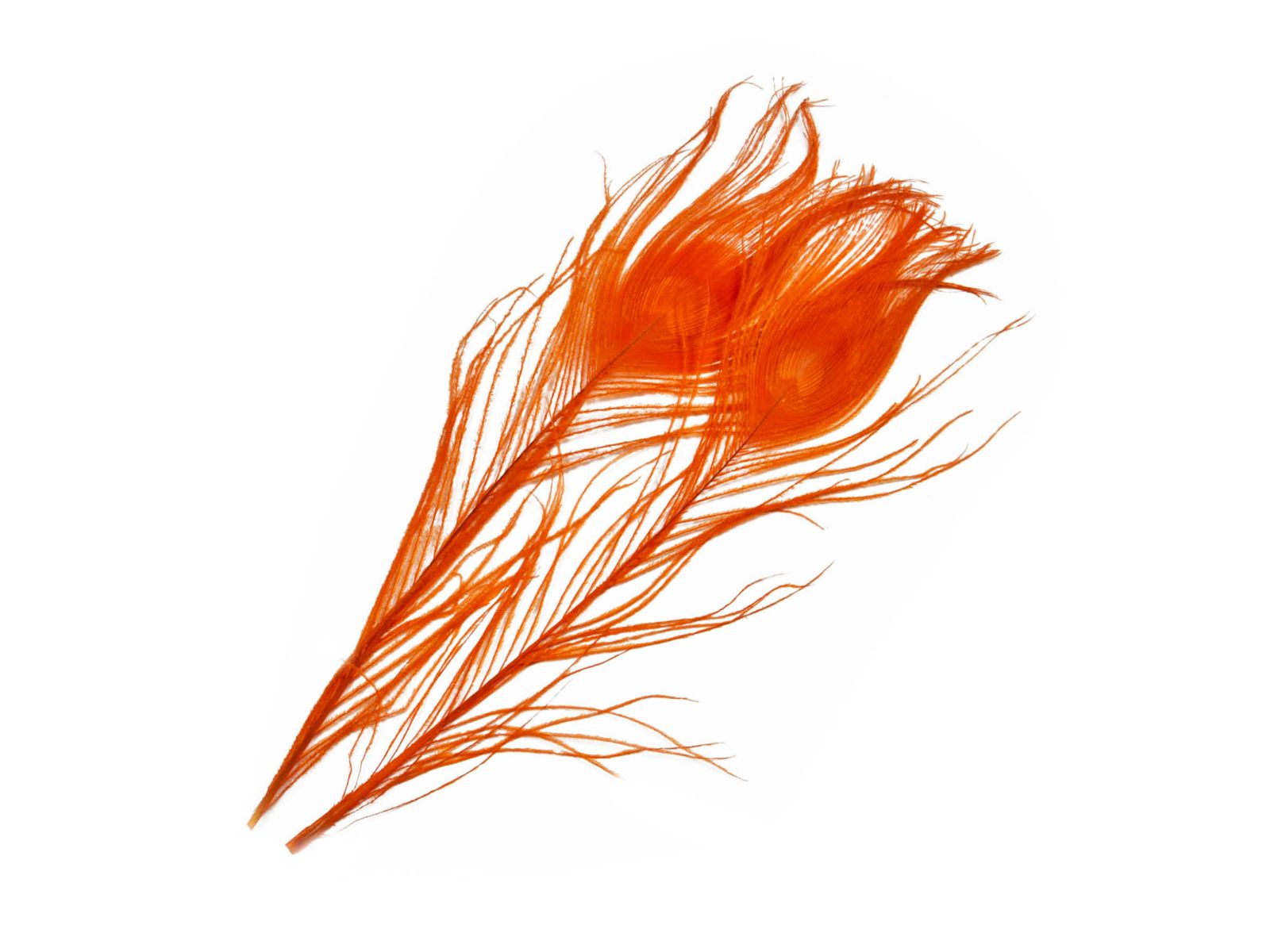 Frodin Flies SNS Peacock Eye Feathers