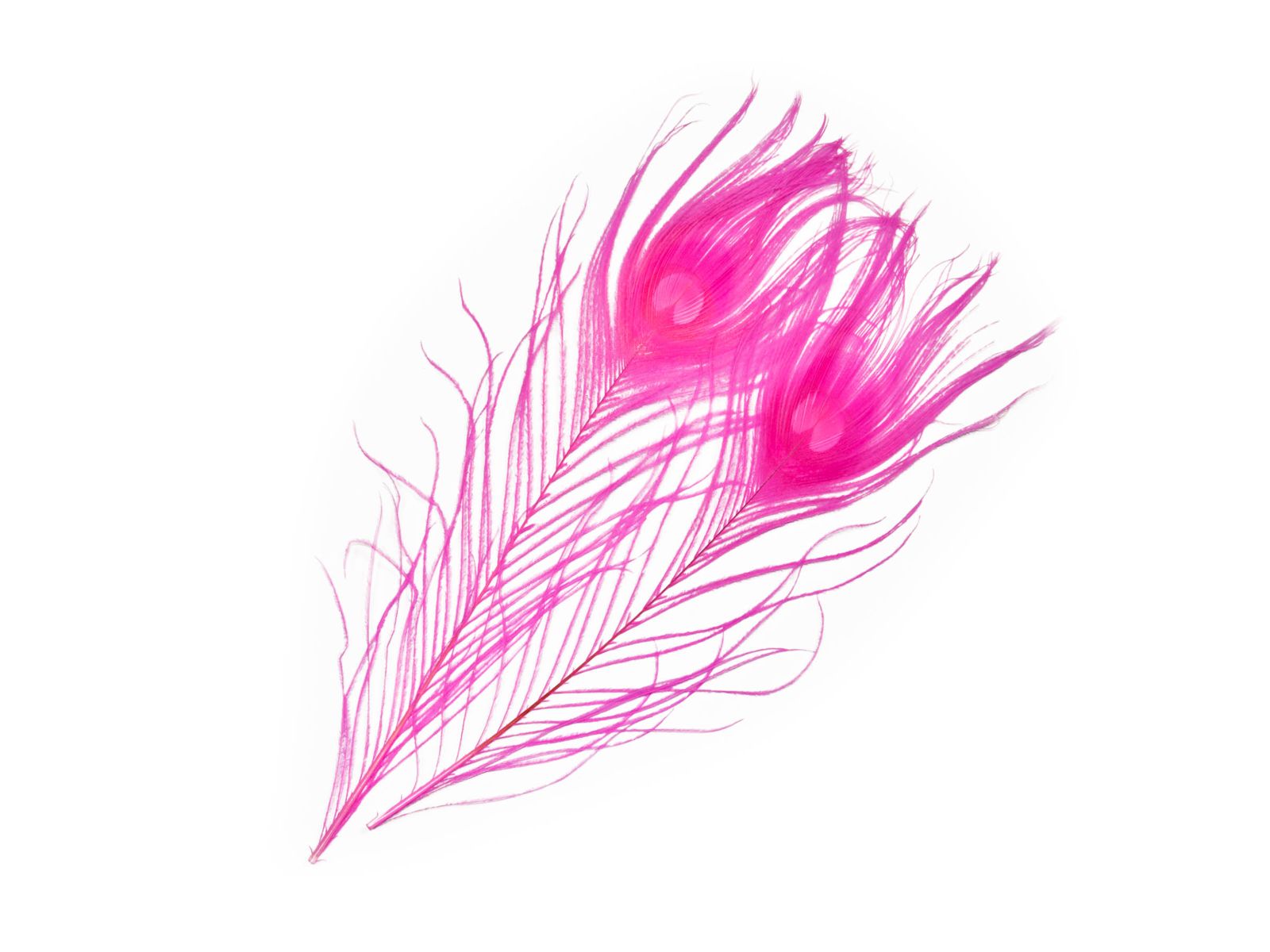 Frodin Flies SNS Peacock Eye Feathers