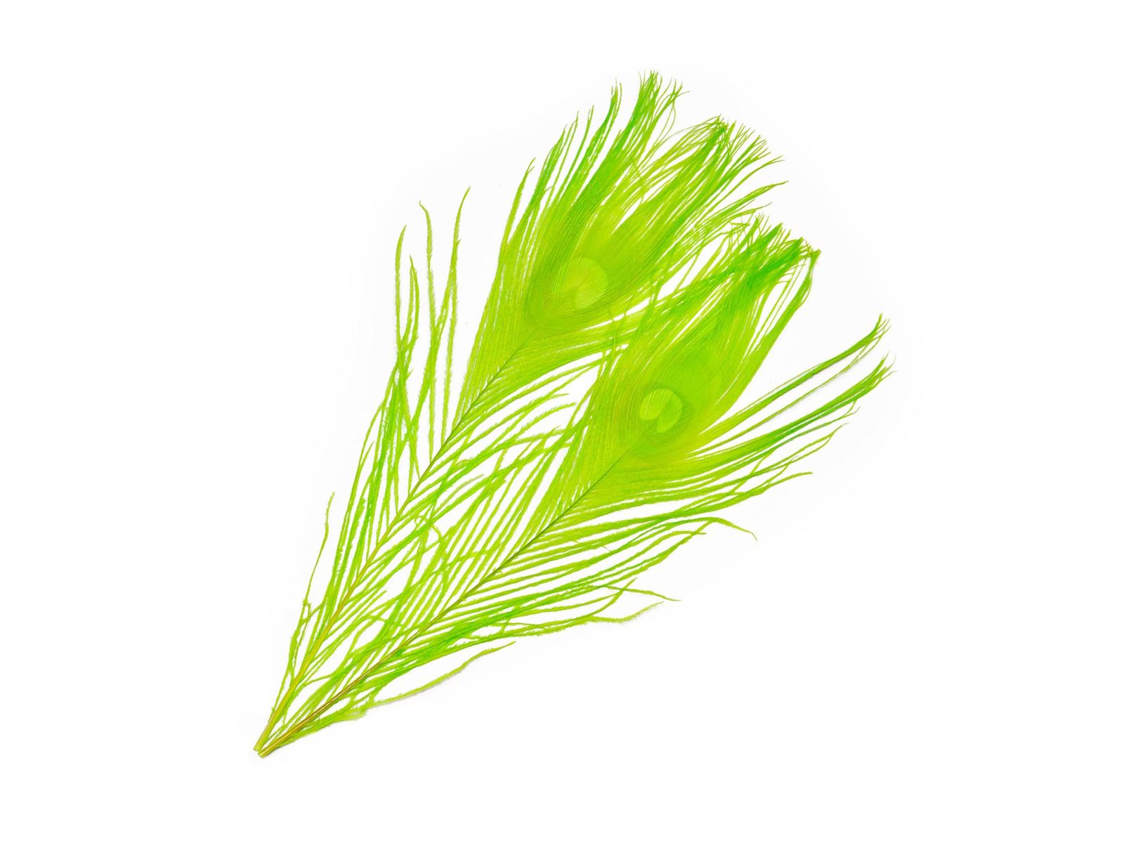 Frodin Flies SNS Peacock Eye Feathers