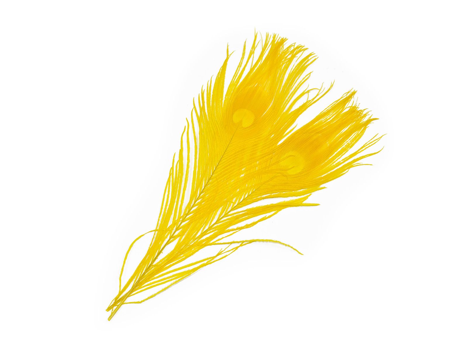 Frodin Flies SNS Peacock Eye Feathers