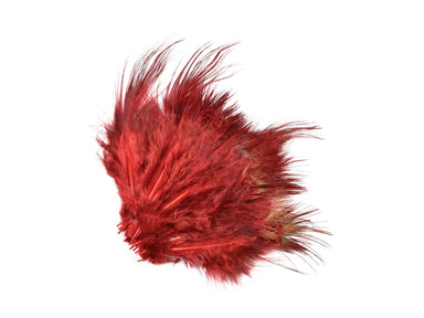 thumbnail interactive-video image 1 of Flynscotsman Tackle Red Rooster / Cock Hackle Feathers – 50 Count – Fly Tying 1 of 5