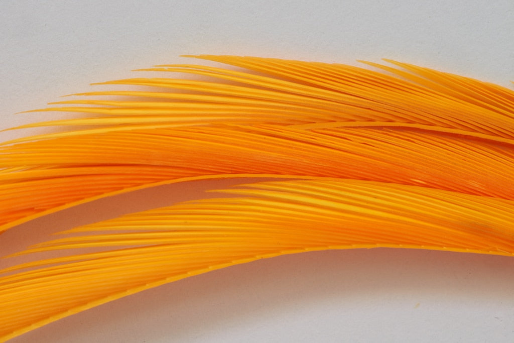 FULLING MILL PREMIUM SELECTED GOOSE BIOTS