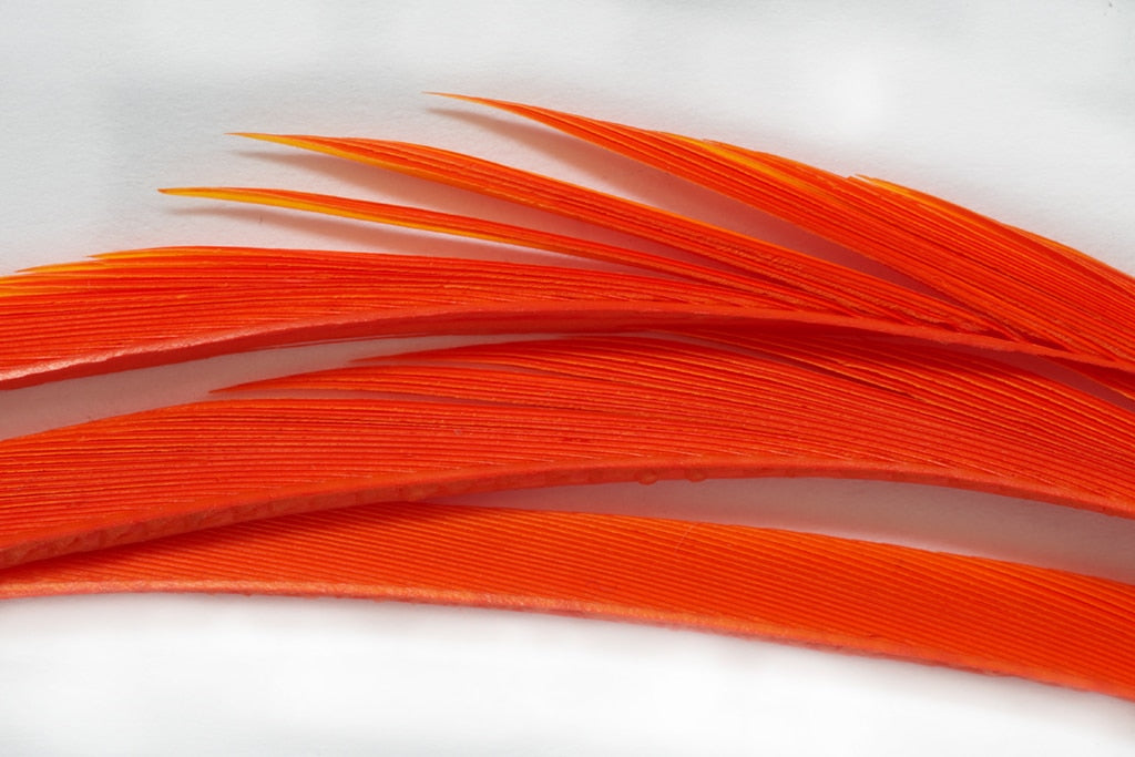 FULLING MILL PREMIUM SELECTED GOOSE BIOTS