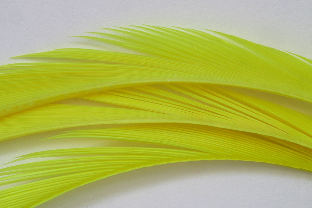 FULLING MILL PREMIUM SELECTED GOOSE BIOTS