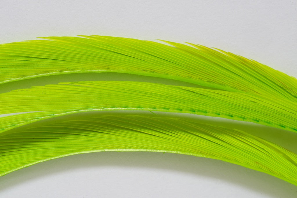 FULLING MILL PREMIUM SELECTED GOOSE BIOTS