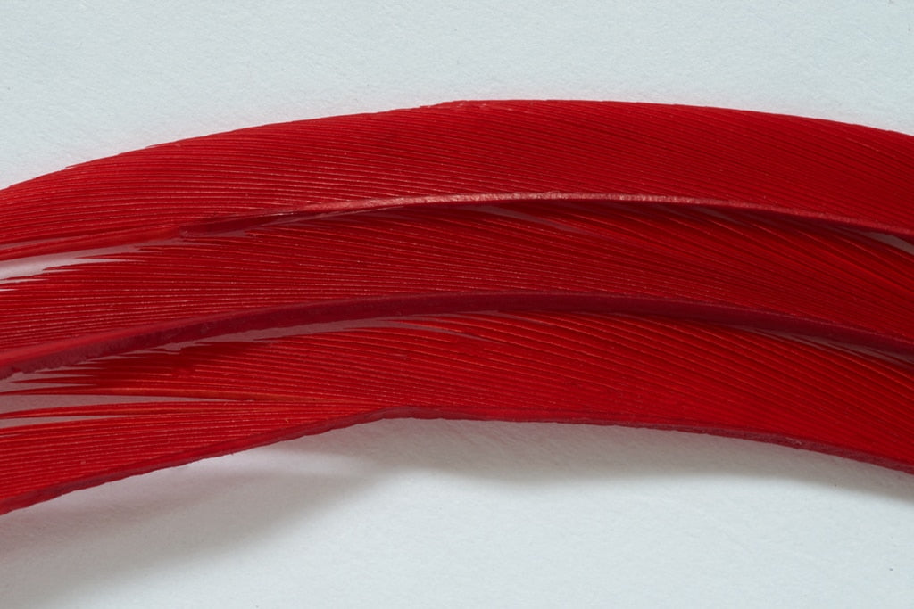 FULLING MILL PREMIUM SELECTED GOOSE BIOTS