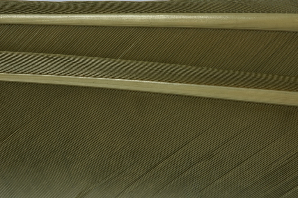 FULLING MILL TURKEY BIOTS