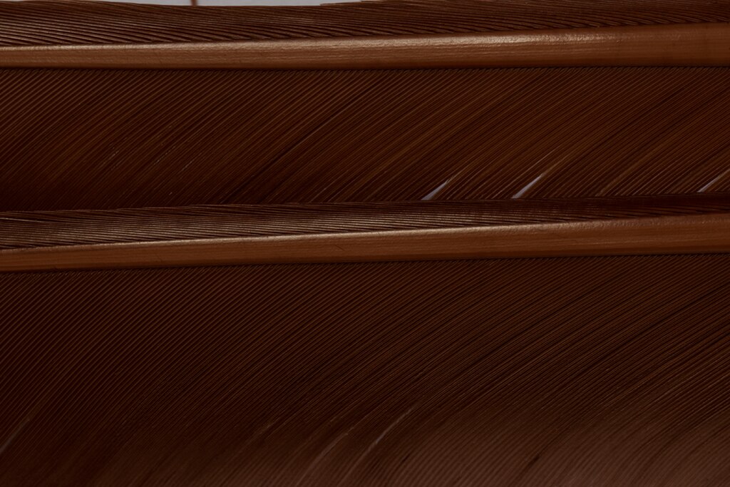 FULLING MILL TURKEY BIOTS