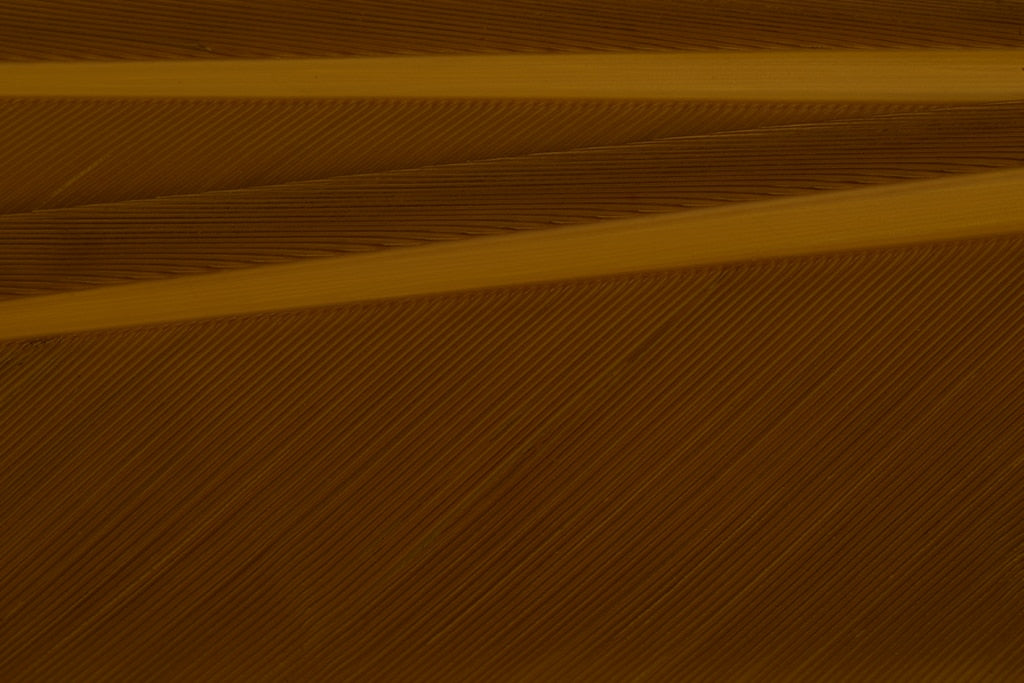 FULLING MILL TURKEY BIOTS