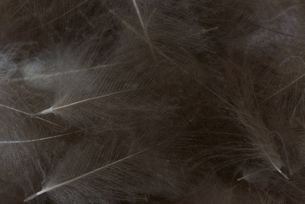 FULLING MILL CDC FEATHERS