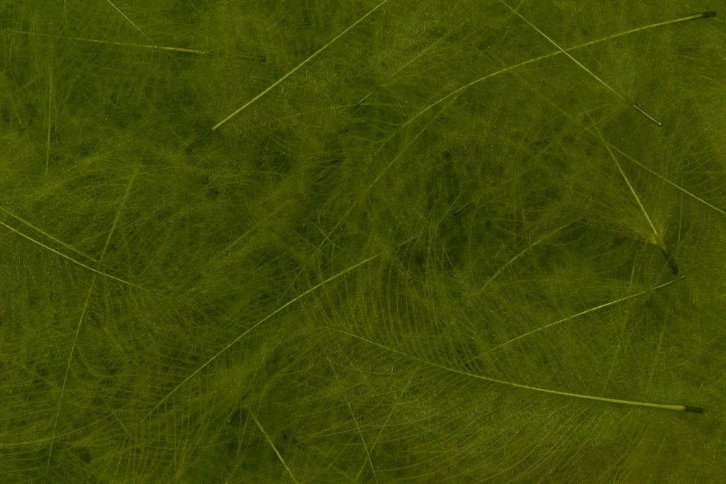 FULLING MILL CDC FEATHERS