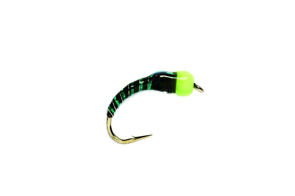 FULLING MILL NUGGET BUZZER BLACK & GREEN